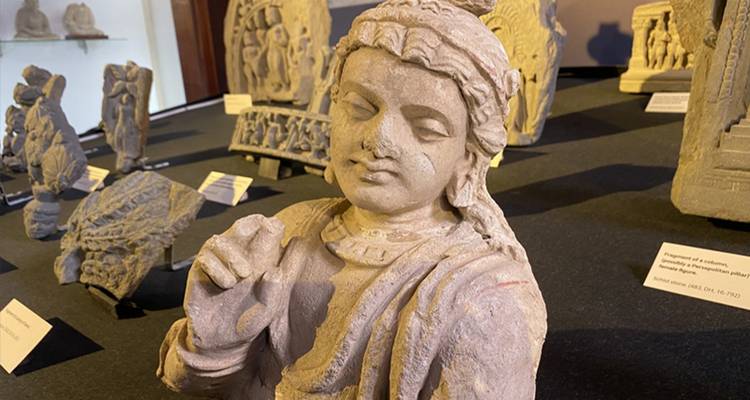 Close-up of an ancient Gandhara stone sculpture displayed in a museum gallery.