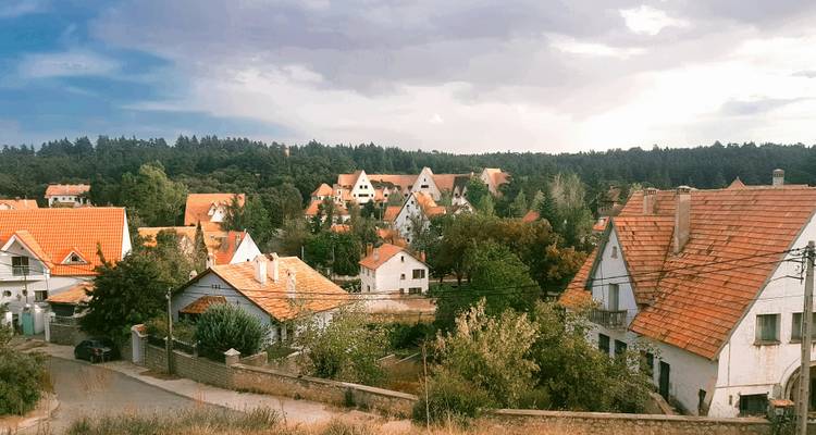Encantador pueblo de casas blancas con techos naranjas rodeado de denso bosque de pinos