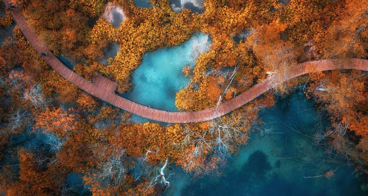 Luchtfoto van kronkelende wandelplanken over levendige turquoise meren omgeven door herfstgebladerte in Plitvice Meren.