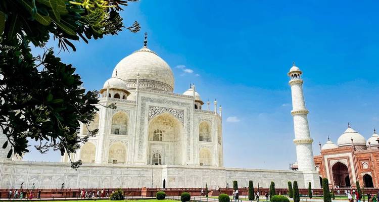 Toma brillante del mediodía del Taj Mahal de mármol blanco enmarcado por cielo azul y césped de jardín.