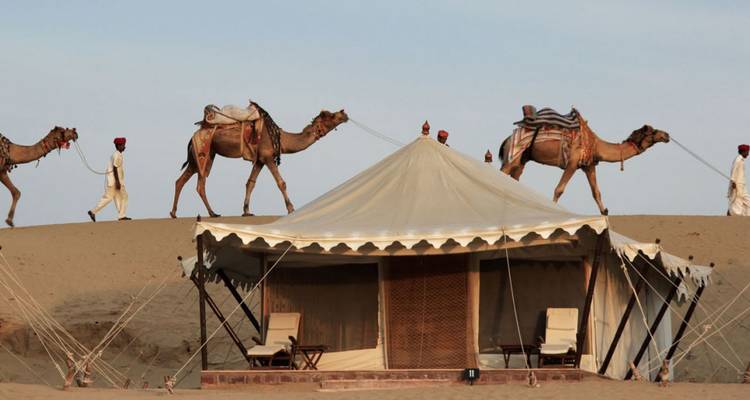 Kameelkaravaan geleid door mannen met tulbanden passeert een luxe woestijntent opgezet op gouden duinen.