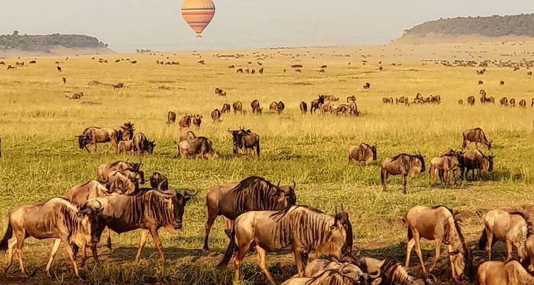 Ñus pastando en una vasta llanura mientras un colorido globo aerostático flota en el cielo