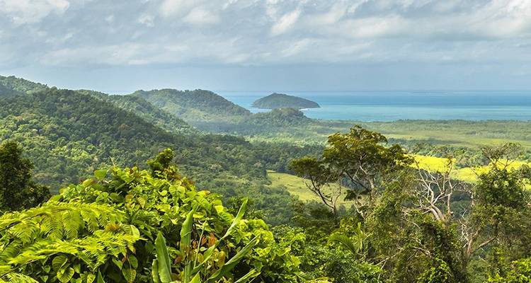 Üppiger tropischer Regenwald, der zu türkisfarbenem Meer und fernen Inseln hinabführt, betrachtet von einem erhöhten Aussichtspunkt in Far North Queensland.