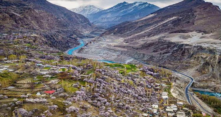 Vue aérienne d'une vallée parsemée d'arbres en fleurs, rivière serpentant sous des sommets enneigés dans la Hunza.