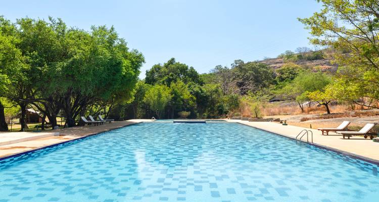 Langwinkliger Swimmingpool mit Sonnenliegen an den Rändern, gelegen in einer trockenen, von Bäumen gesäumten Landschaft unter klarem Himmel.