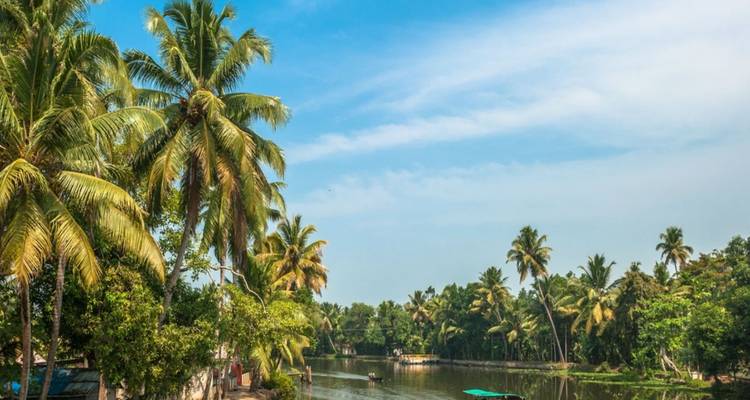 Serene Kerala backwaters tafereel met palmbomen die over een smalle waterweg buigen onder blauwe luchten.