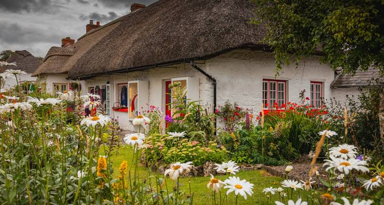 Pintoresca cabaña irlandesa de techo de paja rodeada de jardines florecientes y margaritas blancas.