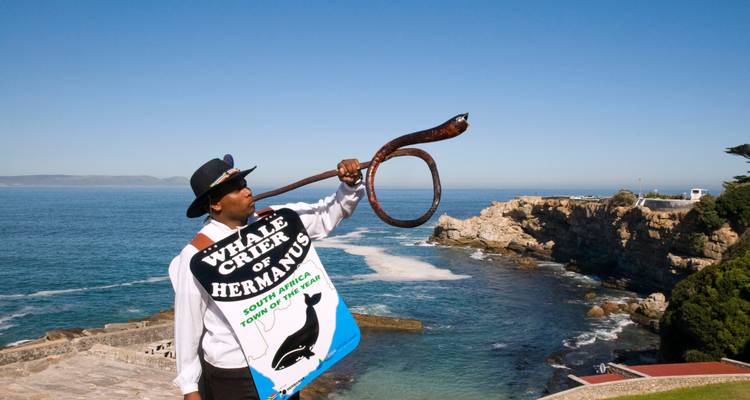 Le Crieur de Baleines d'Hermanus souffle dans une corne d'algue en surplombant le littoral escarpé et la mer bleue.