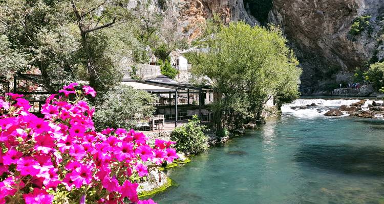 Bright pink flowers frame a turquoise riverside scene with whitewater flowing below rocky cliffs.