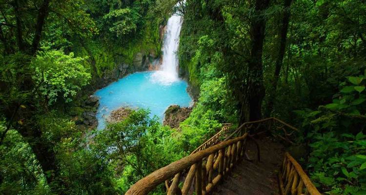 Levendige turquoise watervalvijver omringd door weelderig regenwoud, gezien vanaf een houten trap.