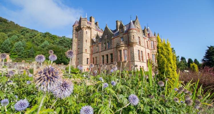 Elegant Victorian castle framed by colorful spiky flowers and lush gardens.