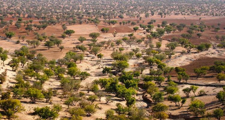 Weitläufige halbtrockene Landschaft mit Arganbäumen und Anbauflächen aus der Vogelperspektive.
