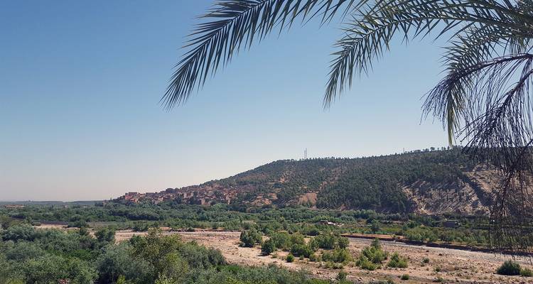Palmwedel rahmen ein breites Flusstal mit einem kleinen Hügeldorf unter einem wolkenlosen Himmel ein.