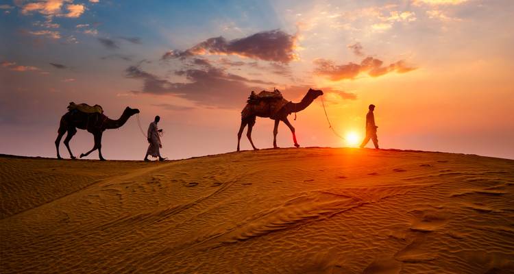 Kamelkarawanen-Silhouetten durchqueren goldene Dünen vor einem lebendigen omanischen Sonnenuntergang.
