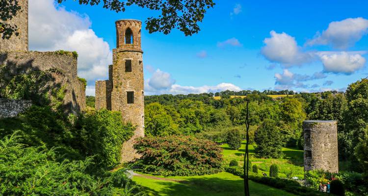 Terrenos verdes y exuberantes con la torre medieval del Castillo de Blarney elevándose contra un cielo azul brillante.