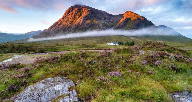 Lande couverte de bruyère avec un cottage blanc solitaire sous un pic des Highlands ensoleillé et la brume matinale.