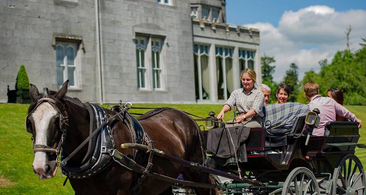 Horse and carriage carry smiling guests past a stately manor house on sunny grounds.