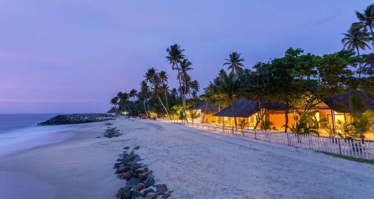 Plage tranquille au crépuscule bordée de palmiers et éclairée par les lumières des cottages en bord de mer.