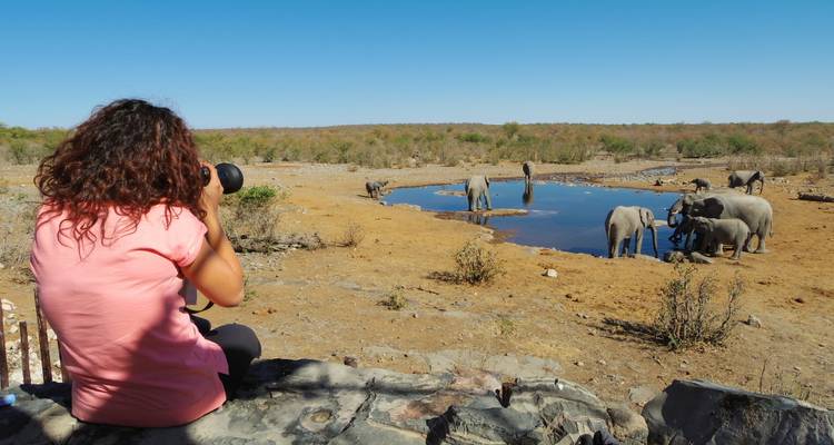 Un fotógrafo se sienta en una cornisa rocosa capturando una manada de elefantes bebiendo en un abrevadero remoto.