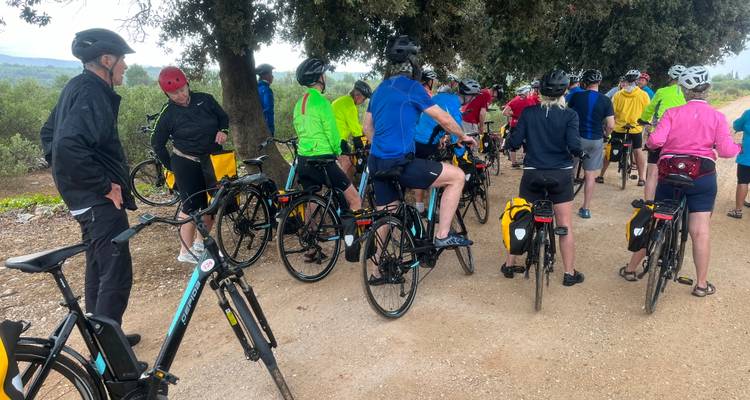 Grand groupe de cyclistes en vestes colorées fait une pause sous un arbre sur un chemin de terre.