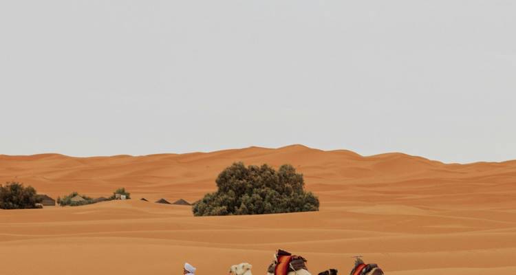 Kleine Kamelkarawane durchquert weite, wellige Dünen unter blassem Himmel.