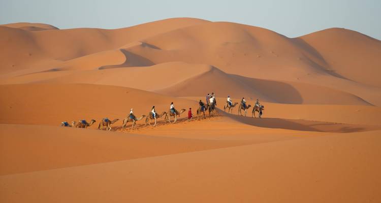 Lange Schlange von Touristen auf Kamelen windet sich über weiche orange Dünen im frühen Licht.