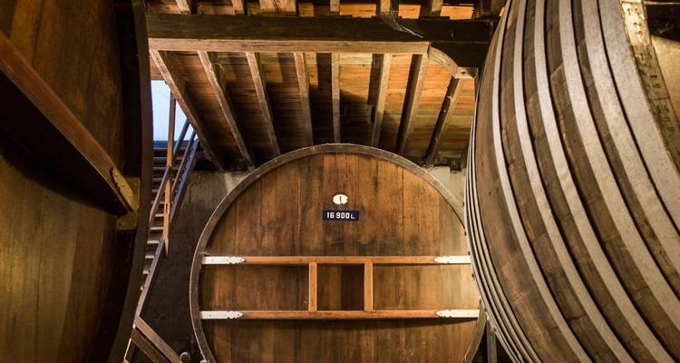 Massive wooden wine vat beneath rustic beams inside a traditional Uruguayan cellar.