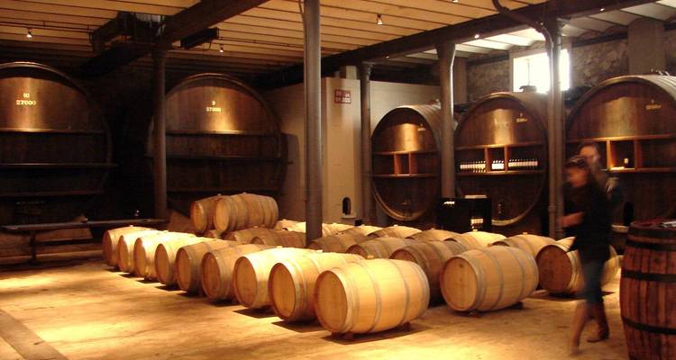 Rows of wooden wine barrels age in a dimly lit cellar while a visitor walks past.