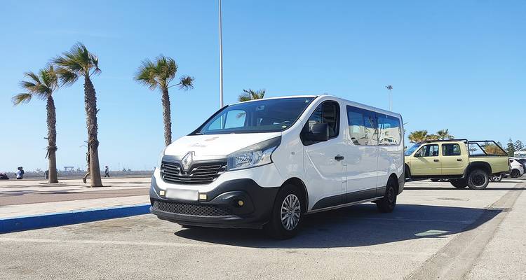 A white passenger van parked on a seaside promenade with palm trees blowing in the breeze.