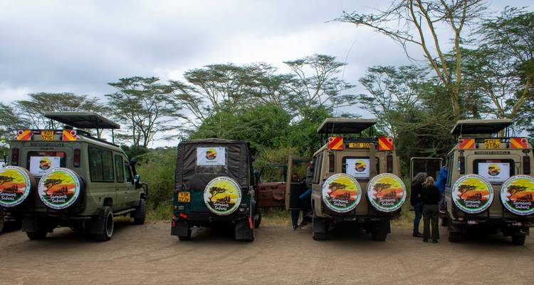 File de jeeps de safari avec des logos colorés garées dans une clairière de terre avant un safari photographique.