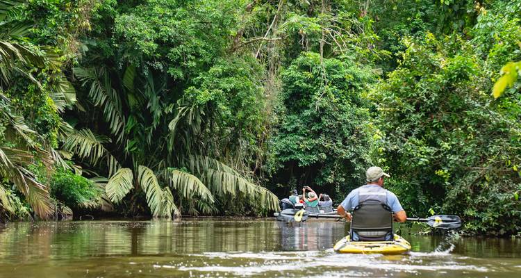 Los kayakistas reman por un estrecho canal selvático rodeado de denso follaje verde