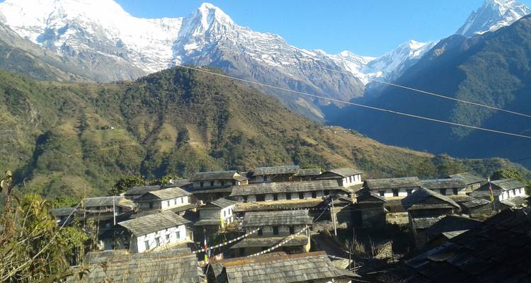 Village gurung traditionnel au toit de pierre niché sur une crête en terrasses avec les sommets enneigés de l'Himalaya qui se dressent derrière
