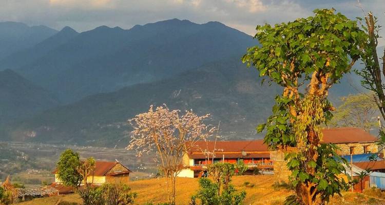 Établissement rural avec arbre en fleurs et toile de fond montagneuse éclairée par la douce lumière de fin de journée