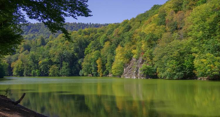 Lago verde tranquilo bordeado por denso bosque mixto con afloramiento rocoso en el Parque Nacional Dilijan.