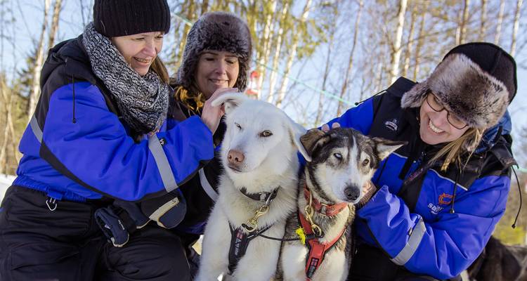 Trois adultes en combinaisons d'hiver bleues caressent des chiens husky dans un décor de forêt enneigée.