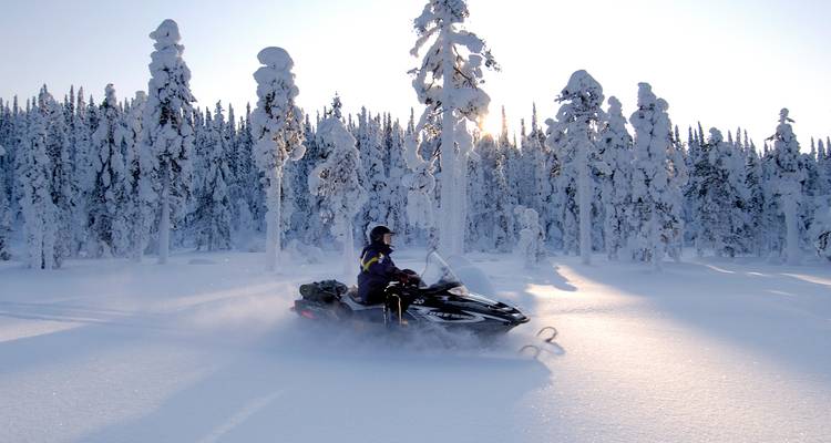 Motoneigiste filant à travers la poudreuse profonde dans une forêt enneigée et ensoleillée.