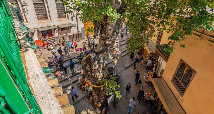 Marché animé dans une médina historique vu d'en haut, centré autour d'un grand arbre ancien et entouré de bâtiments beiges et d'étals colorés.
