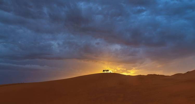 Silhouette de chameaux franchissant une dune de sable contre un ciel de lever de soleil dramatique avec des nuages sombres.