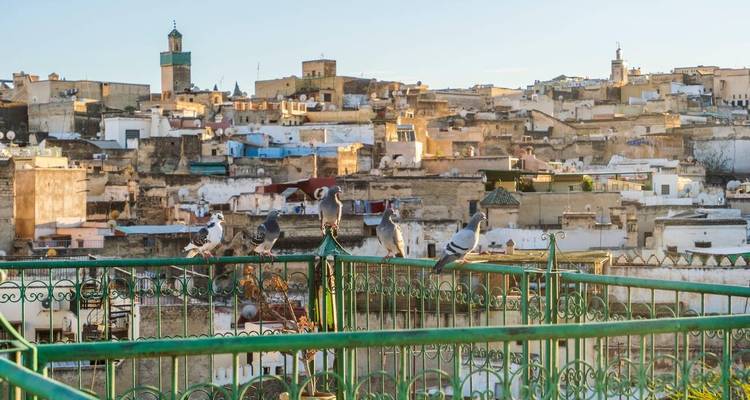 Vue depuis un toit d'une médina ancienne avec des pigeons perchés sur une balustrade en fer forgé vert.