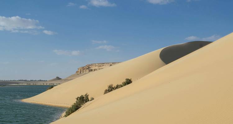Des dunes de sable jaune ondulantes plongent abruptement dans un lac bleu sous un ciel lumineux.