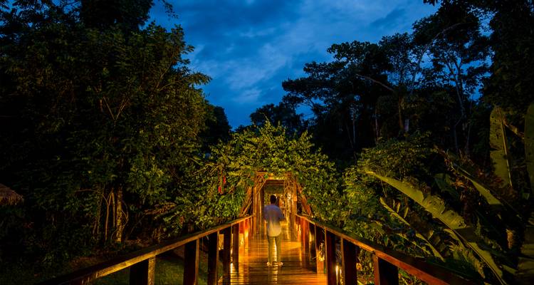 Sentier en bois illuminé à travers le feuillage de la jungle menant à un lodge la nuit.