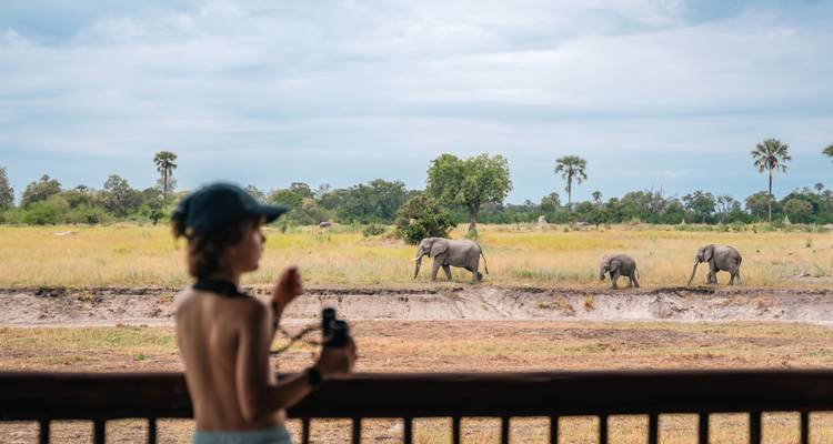 Young traveller with binoculars observes three elephants walking across grassy plains.