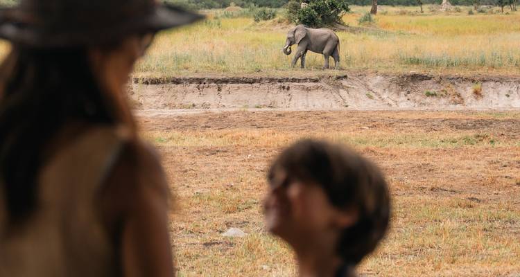 Observer and child view a grazing elephant across an open field on safari.