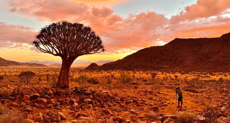 Un fotógrafo se encuentra ante un árbol carcaj silueteado contra una ardiente puesta de sol del desierto.