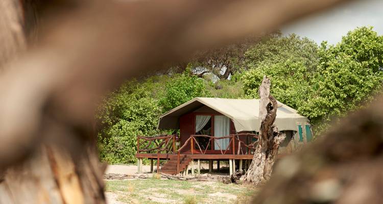 Chalet de safari de lona elevado enclavado entre vegetación verde, visto a través de troncos de árboles.