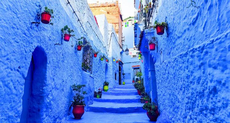 Smalle steeg met levendige blauwe muren bezaaid met potplanten in Chefchaouen.