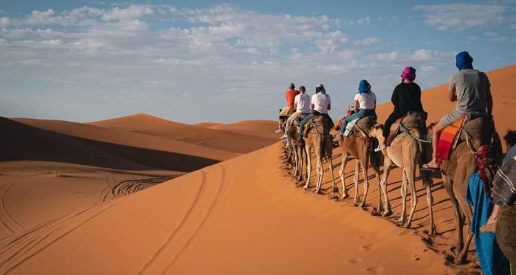 Kameelkaravaan paden langs torenhoge oranje duinen onder een heldere hemel.