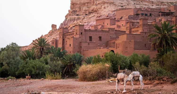 Earth-toned fortified ksar of Ait Benhaddou framed by palm trees and a pair of donkeys in the foreground