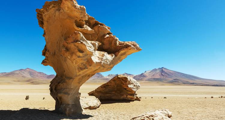 Iconische door wind uitgesneden stenen boom (Arbol de Piedra) die midden op een hooggelegen woestijnvlakte staat.