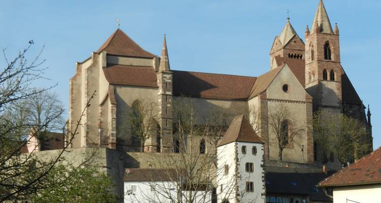 Steinkirche mit mehreren Türmen, die sich über eine kleine Stadt am Rhein erhebt, umgeben von Bäumen im Frühling.